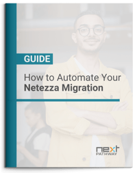 Netezza Guide Netezza Guide