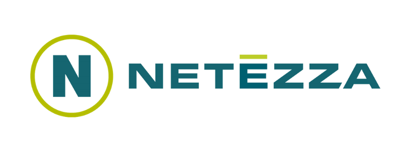 Netezza transparent