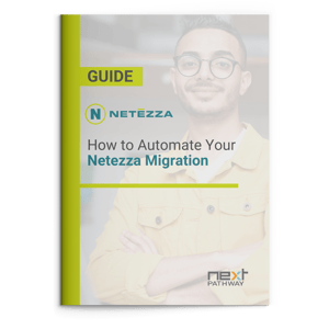 Netezza Migration Guide