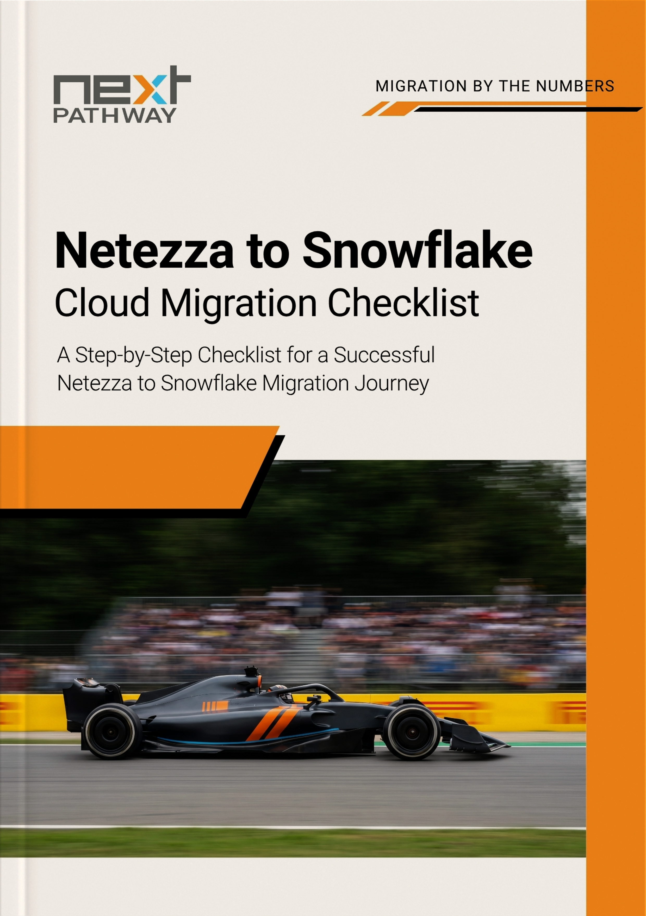 NETEZZA TO SNOWFLAKE 